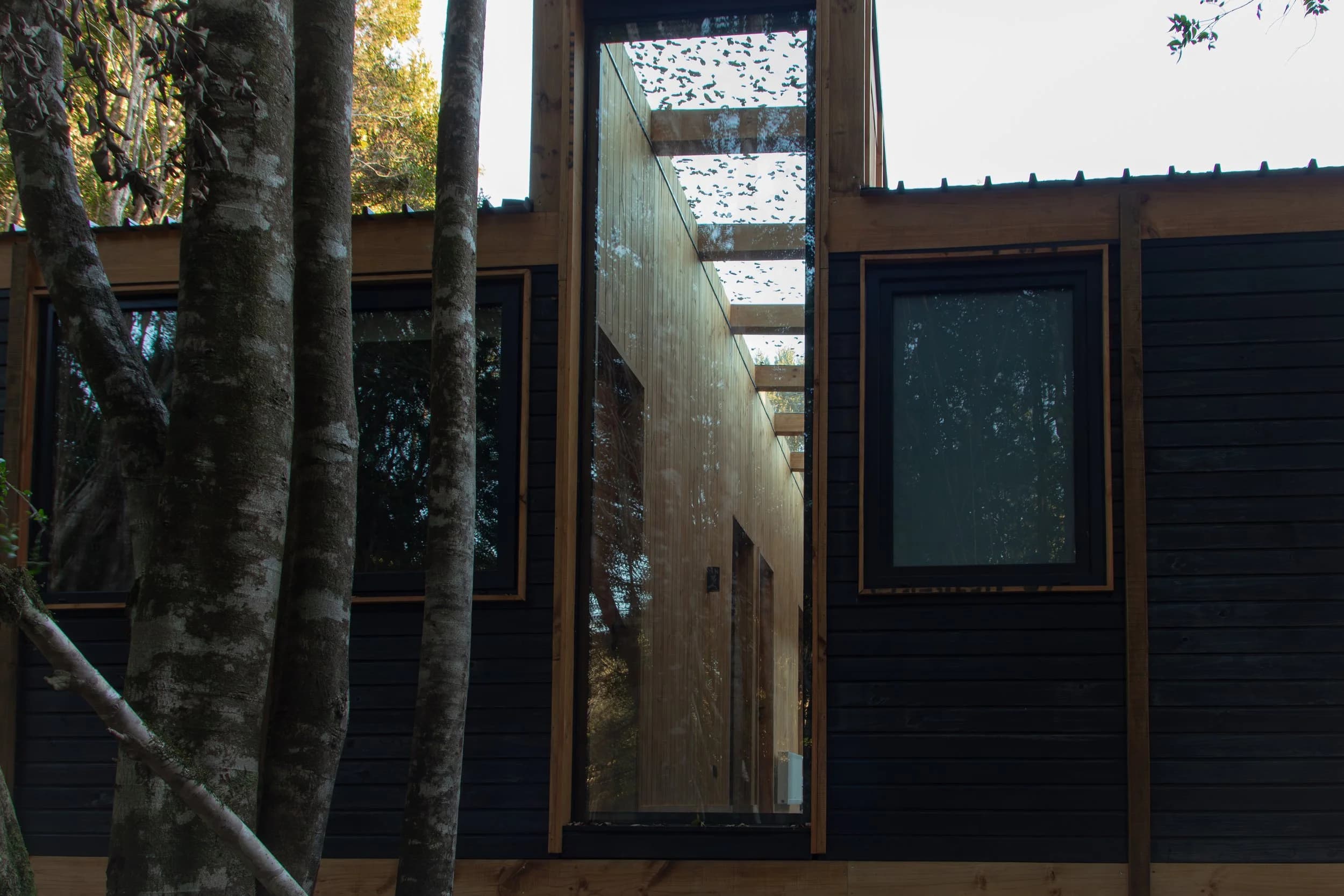 Casa Bosque — 14