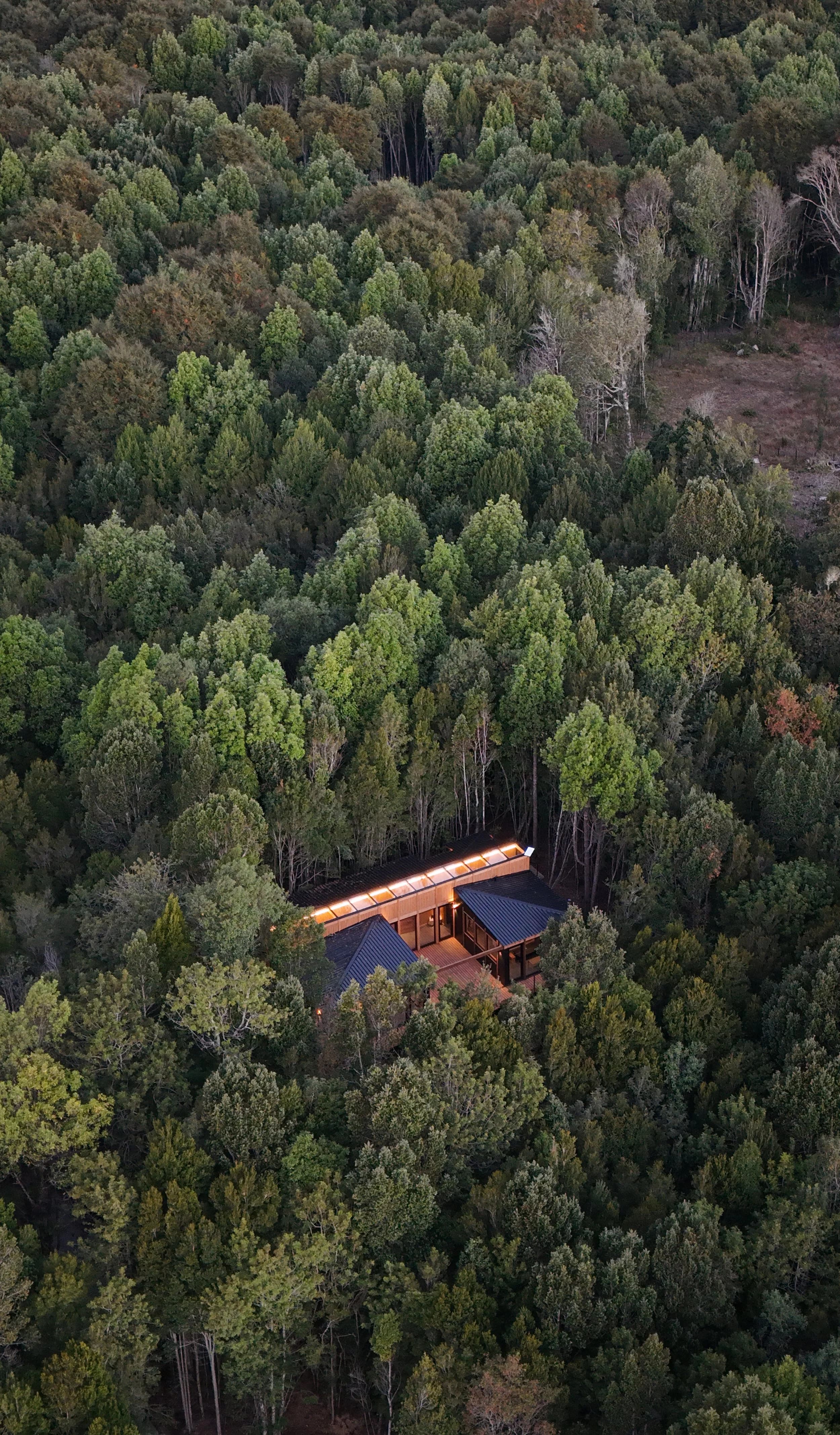 Casa Bosque — 6