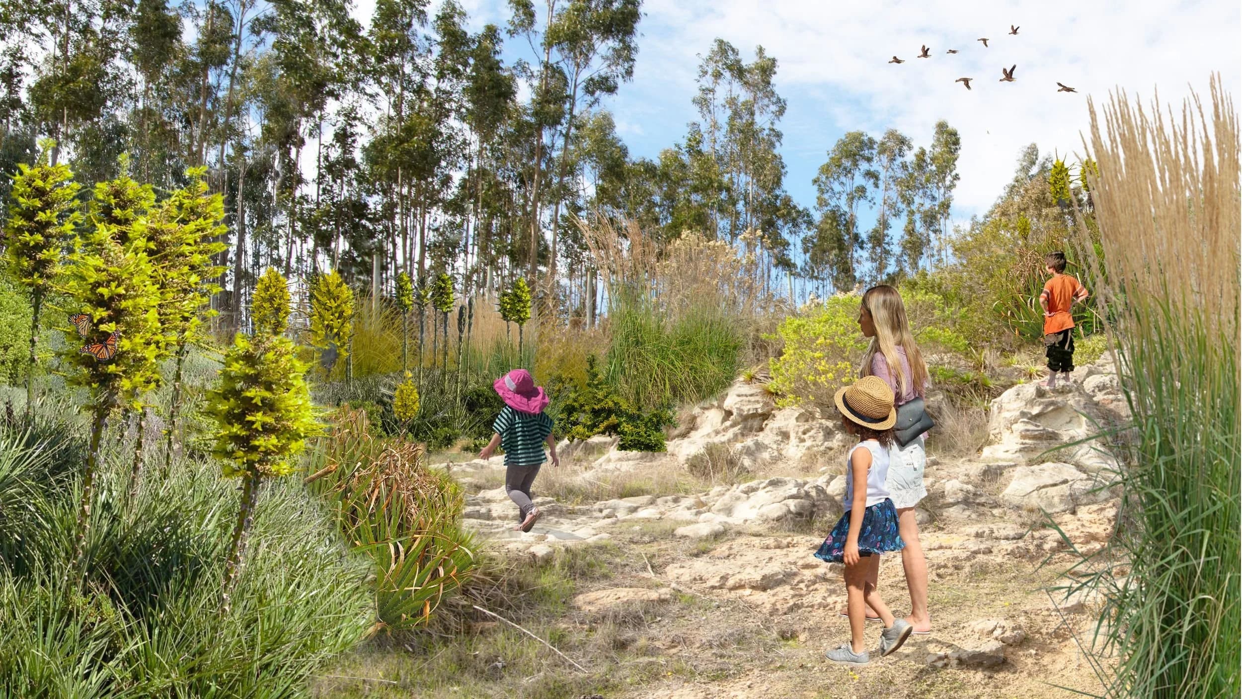 Quebradas de Pupuya — 1