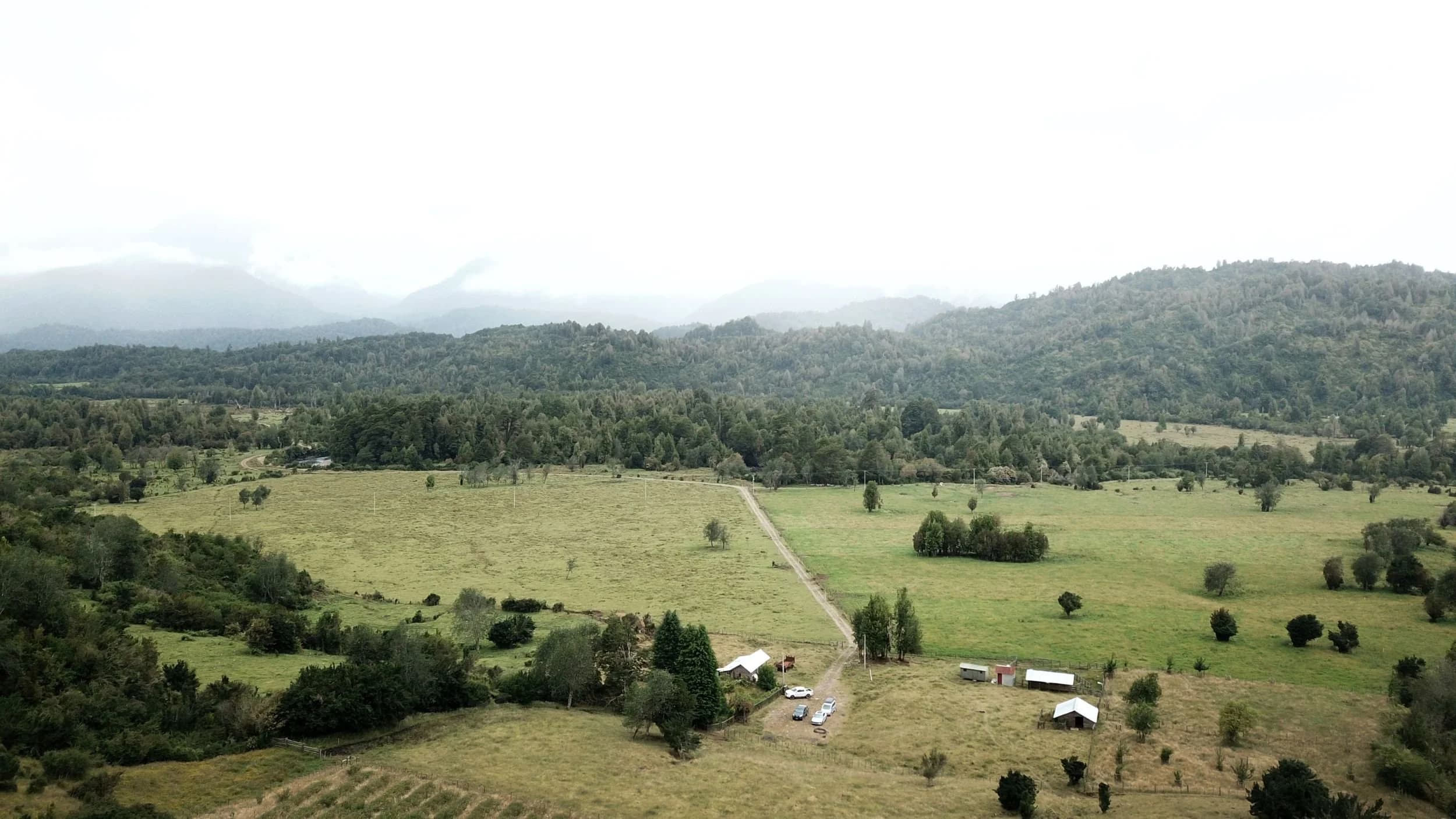 Galería — 1