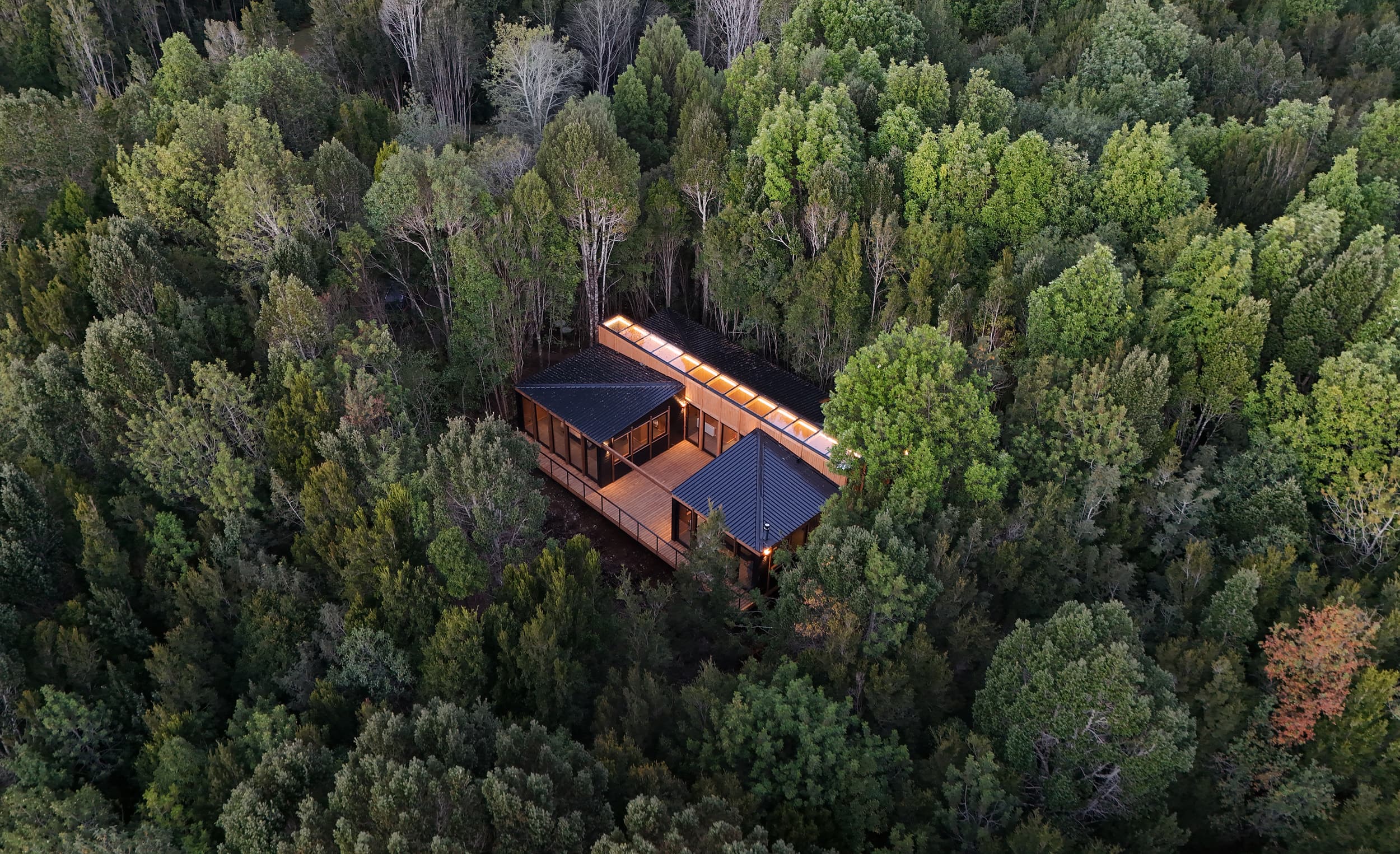Casa Bosque — 1