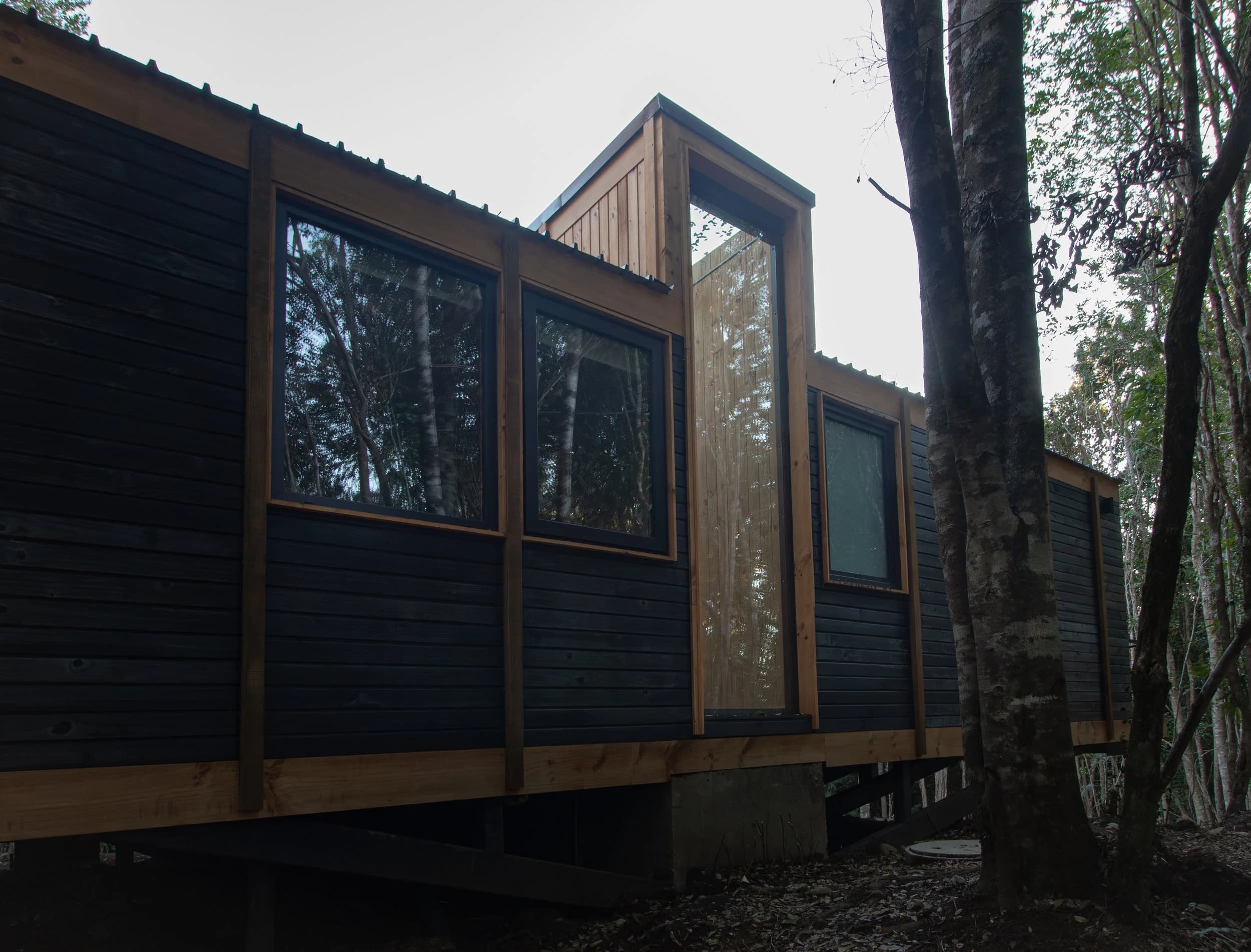 Casa Bosque — 11