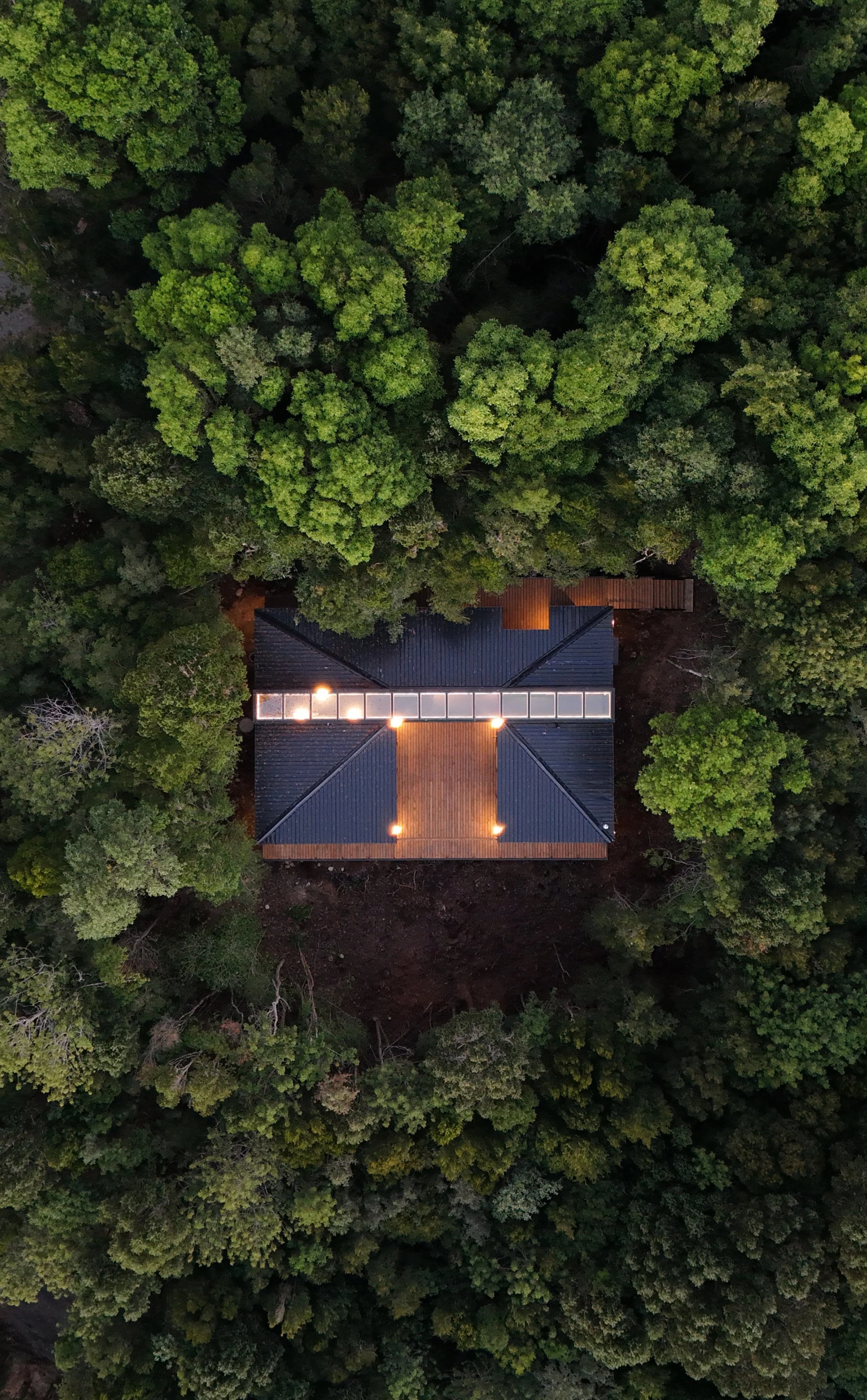 Casa Bosque — 7